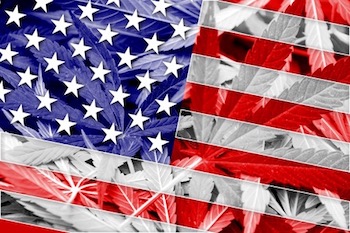 USA Flag on cannabis background.