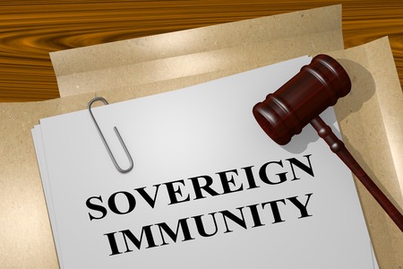 IP and Sovereign Immunity: Why You Can't Always Sue for IP Infringement