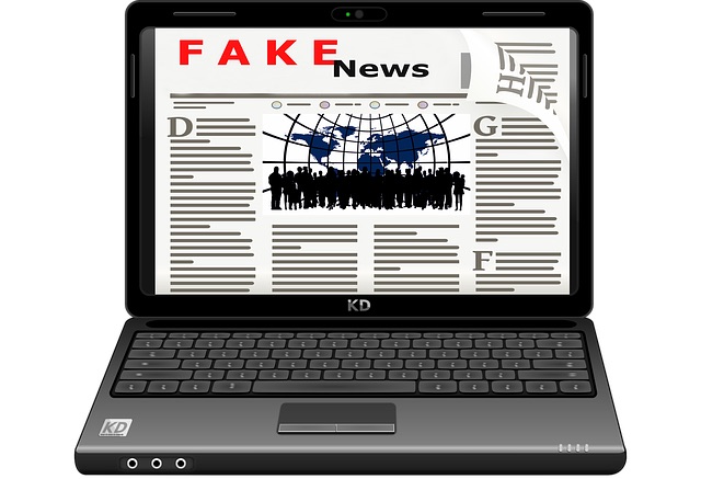 Facilitating 'fake news' through legitimate website prohibited by court