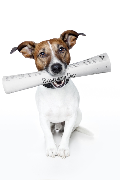 https://depositphotos.com/8650807/stock-photo-dog-holding-a-newspaper.html