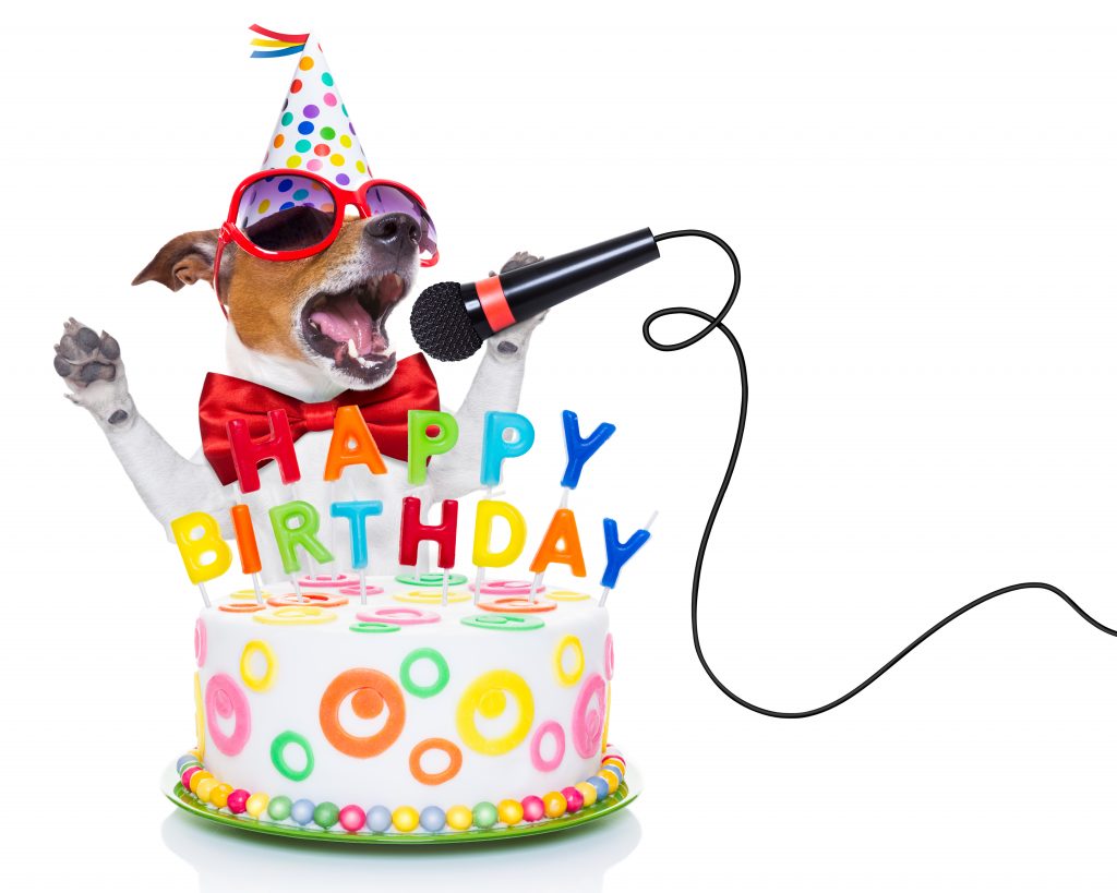 https://depositphotos.com/72790263/stock-photo-happy-birthday-dog.html