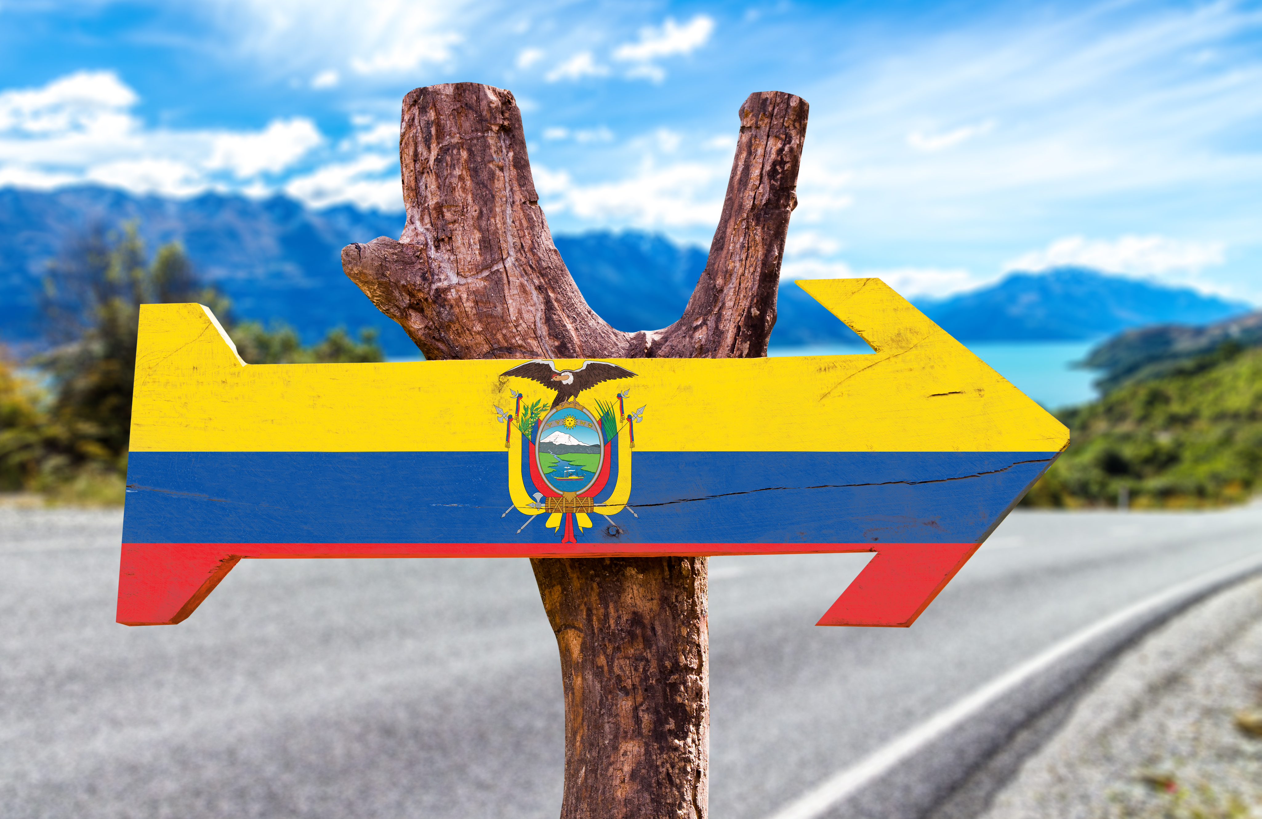 https://depositphotos.com/73426633/stock-photo-ecuador-flag-wooden-sign.html
