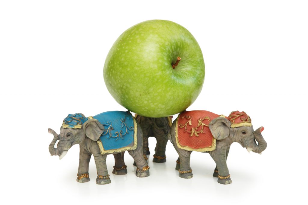 https://depositphotos.com/4427649/stock-photo-elephants-holding-green-apple-isolated.html
