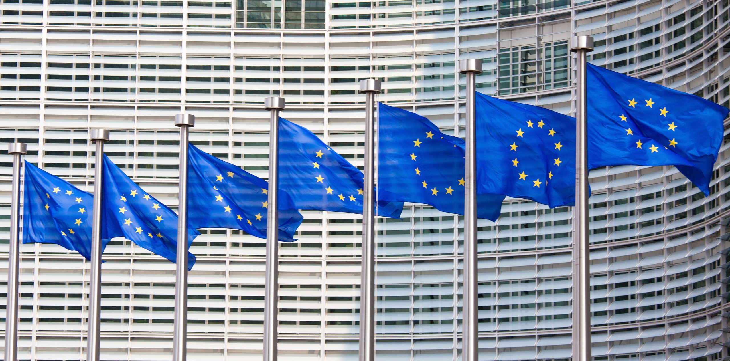 European Patent - https://depositphotos.com/66396855/stock-photo-european-flags-in-brussels.html