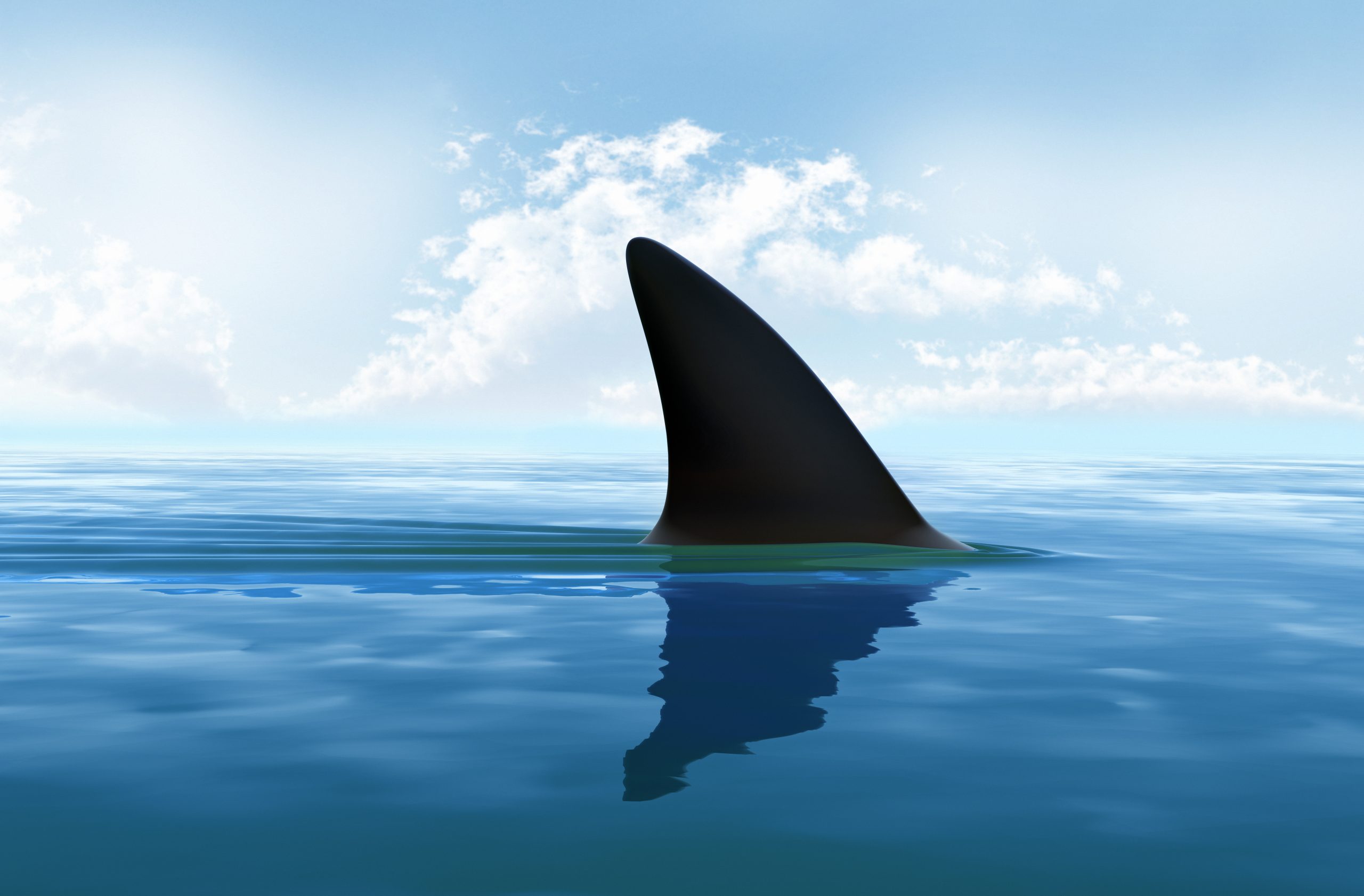 Patent Filings shark in water - https://depositphotos.com/60149289/stock-photo-shark-fin-above-water.html