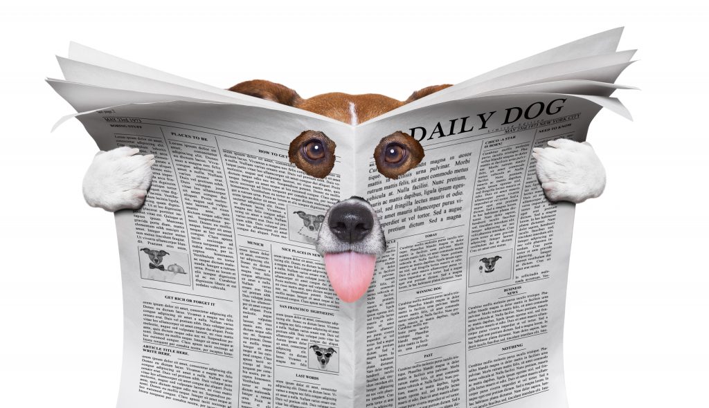 https://depositphotos.com/174198470/stock-photo-spy-dog-reading-a-newspaper.html