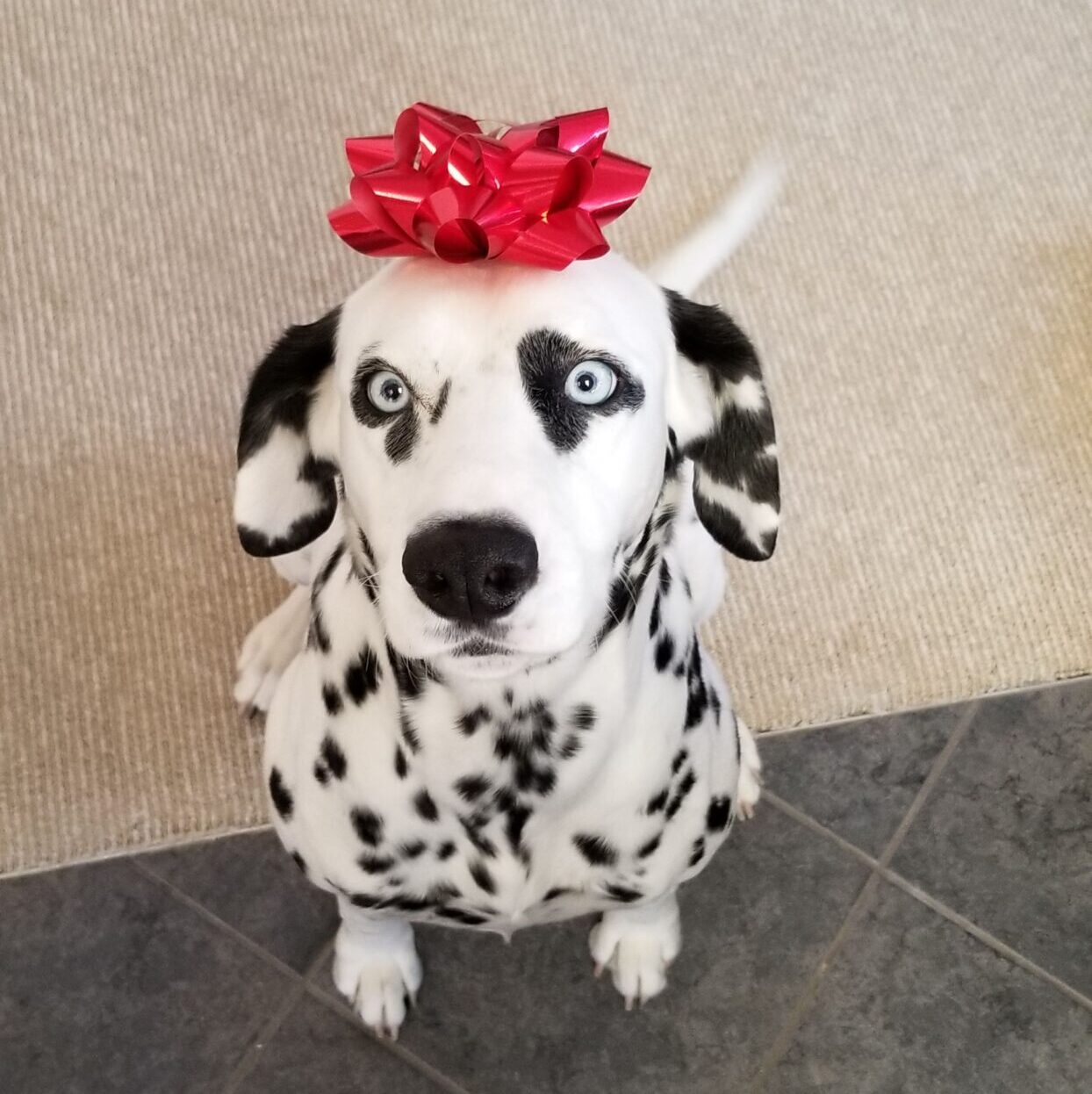Person sitting on street photo – Free Portrait Image on Unsplash, image size:1244x1246