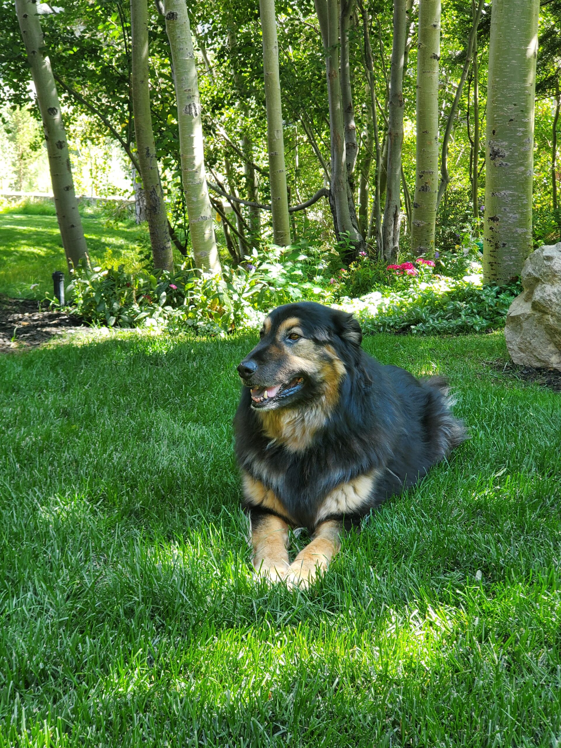 EU Trademarks, March Madness TRO Denied, Patents Surge