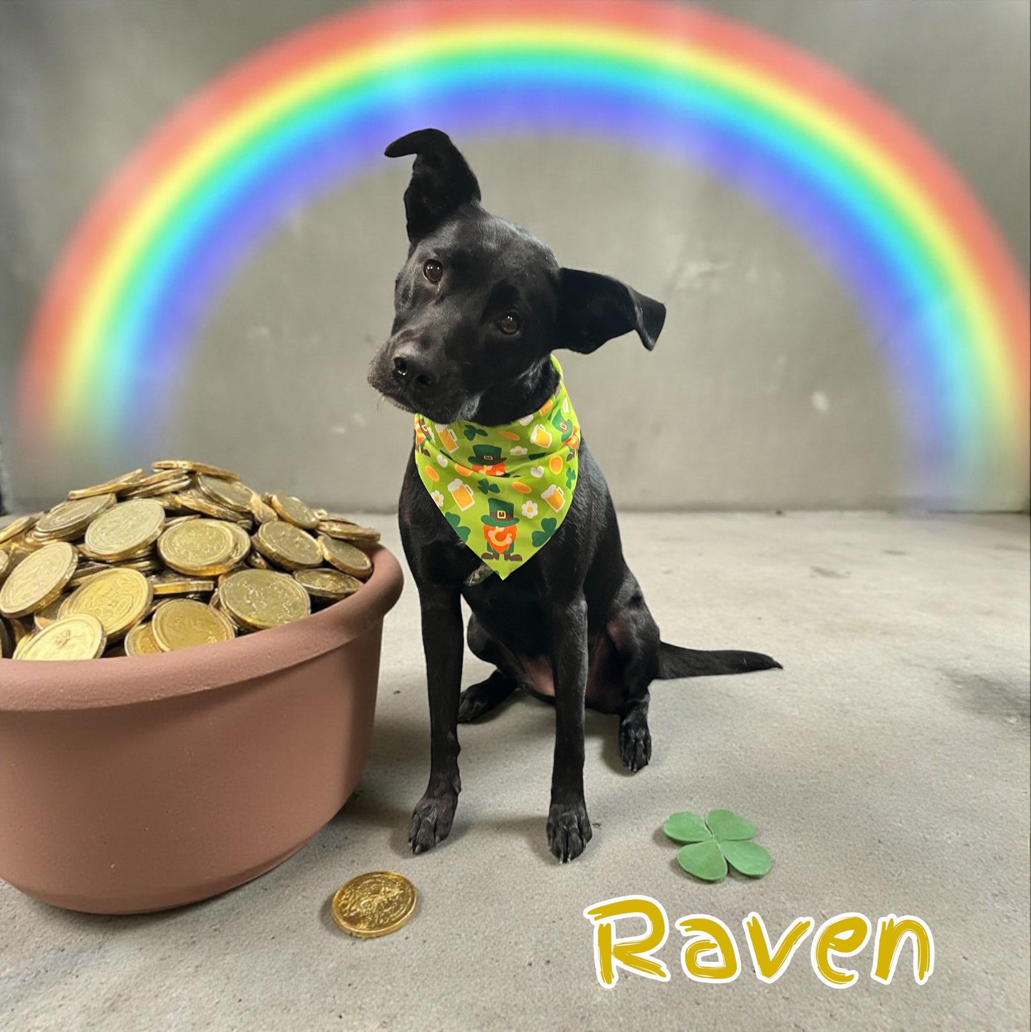 Other Barks & Bites for Friday, March 13: Former USPTO Patent Examiner Settles Conflict Allegations; EU Parliament Endorses EUIPO Register of Works Used to Train AI; U.S.-Based Operations Become Discretionary Denial Factor at PTAB