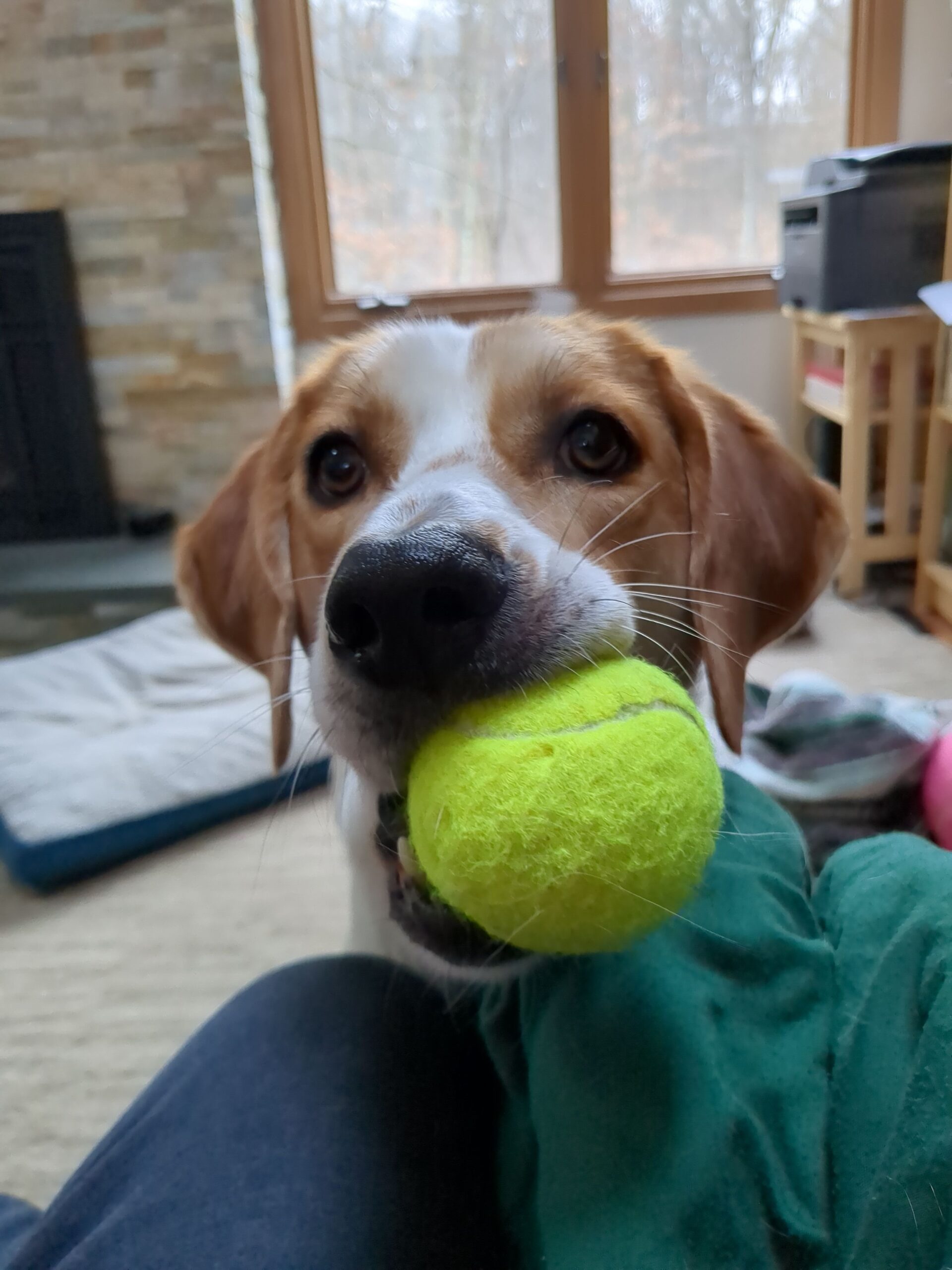 Bites