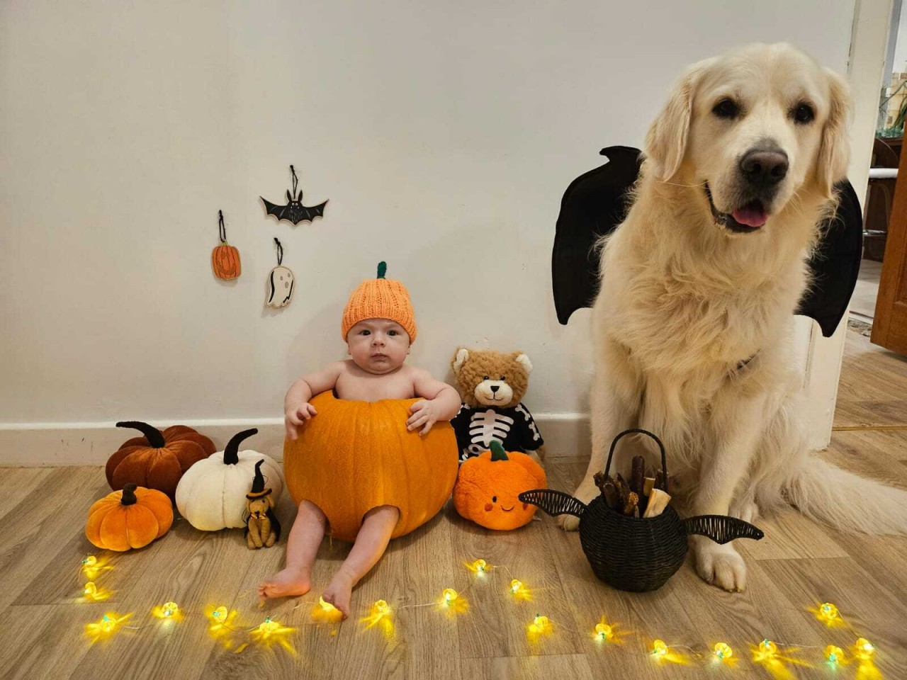 Bites